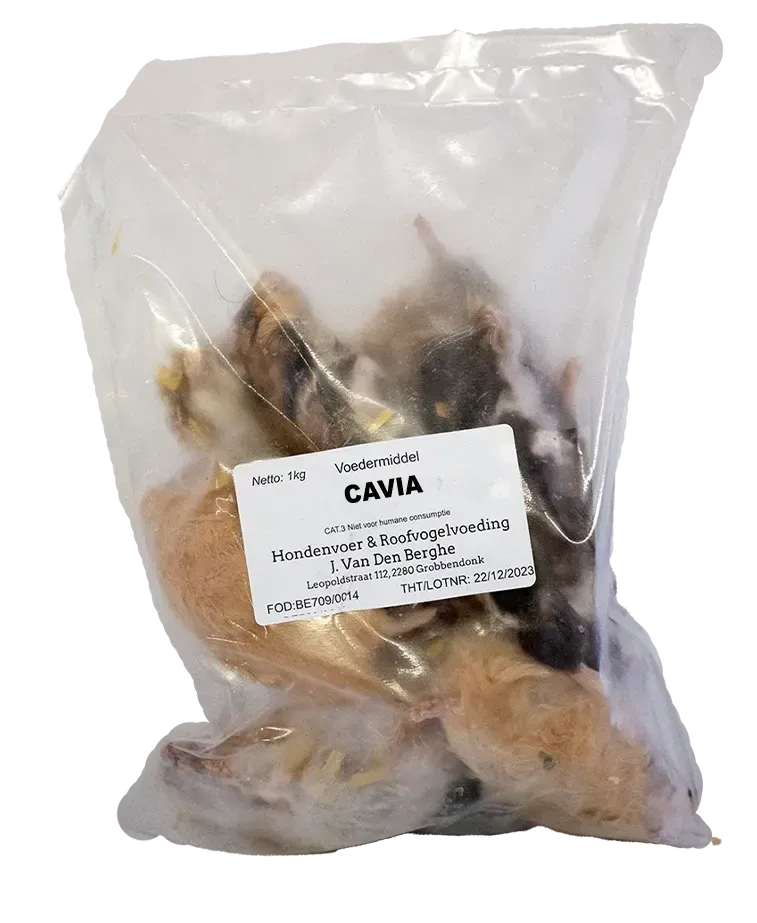 Cavia 1kg