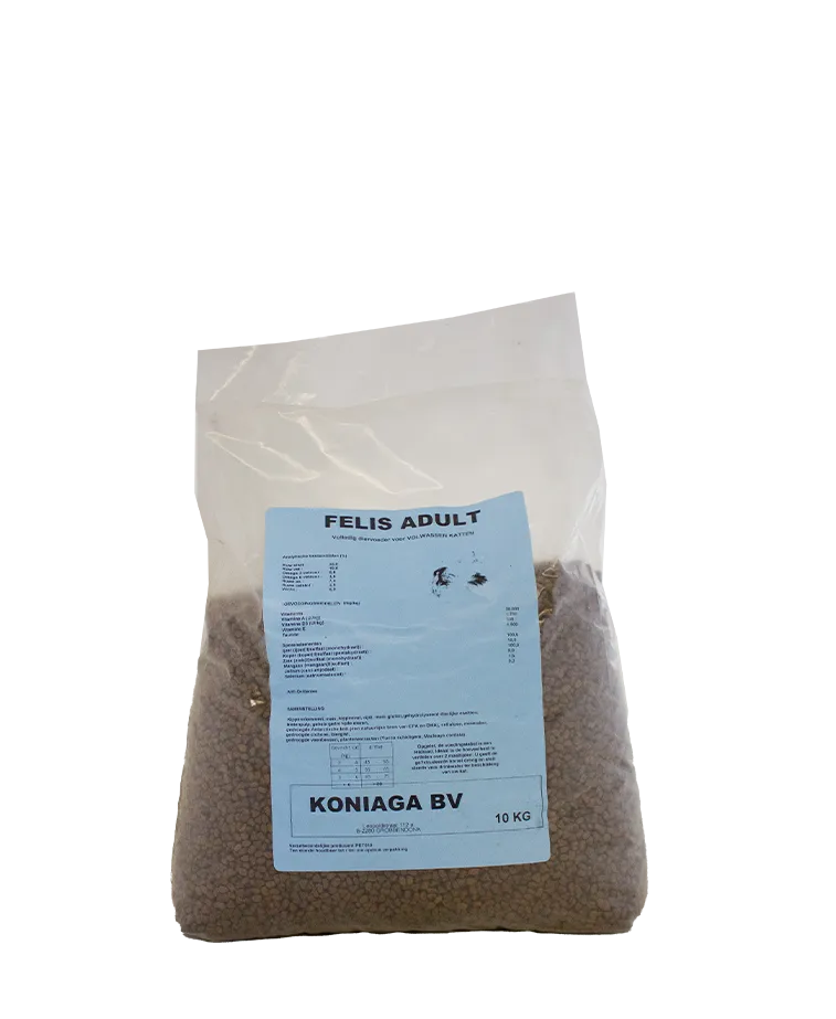Felis Adult