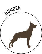 Logo-