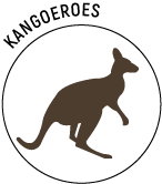 Logo-