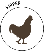 Logo-