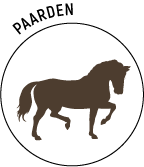 Logo-