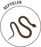Logo-