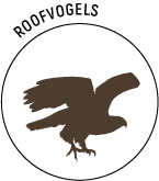 Logo-