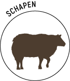 Logo-