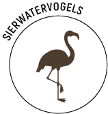 Logo-