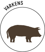 Logo-