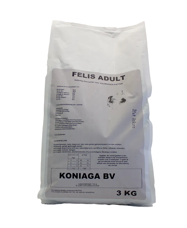 Felis Adult Cat
