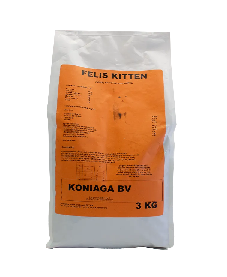 Felis Kitten-Junior
