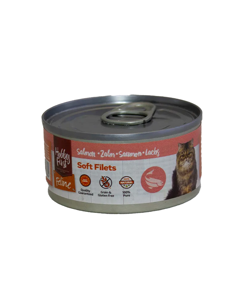 HobbyFirst Soft Filets zalm