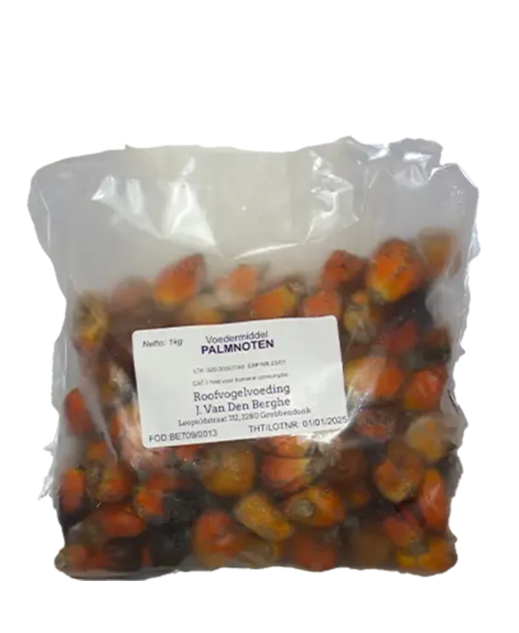 Palmnoten 1kg