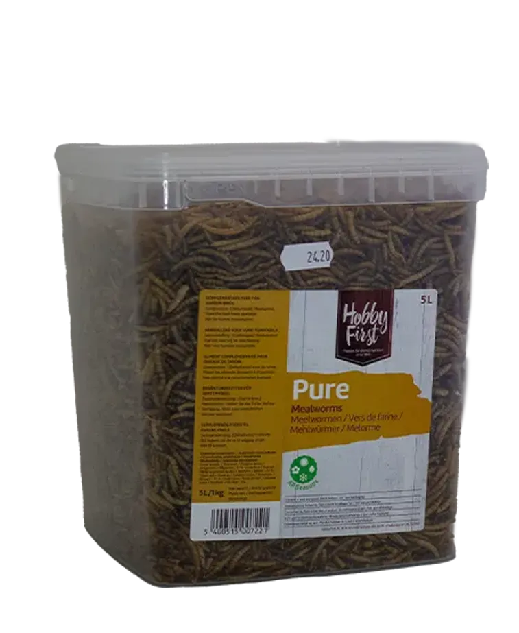 HobbyFirst Meelwormpjes 1kg