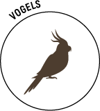 Logo-
