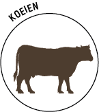Logo-