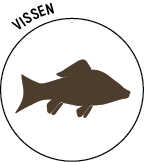 Logo-